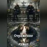 Постер книги Отражение в лужах