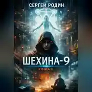 Постер книги Шехина-9