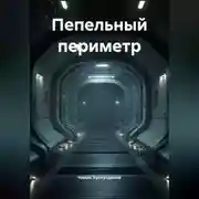 Постер книги Пепельный периметр