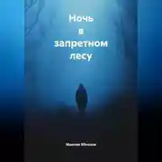 Постер книги Ночь в запретном лесу