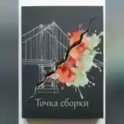 Постер книги Точка сбора