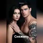 Постер книги Снежинь