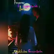 Постер книги Рандеву в чудесном лесу