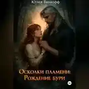 Постер книги Осколки пламени: Рождение бури