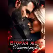 Постер книги Вторая жена. Опасный развод