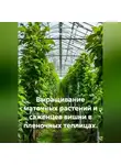 Война Владимир - Выращивание маточных растений и саженцев вишни в пленочных теплицах.