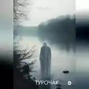 Постер книги Турочак