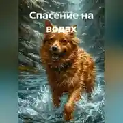 Постер книги Спасение на водах
