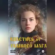 Постер книги Спастись от темного мага