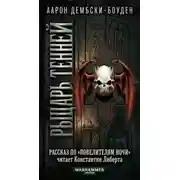 Постер книги Рыцарь теней