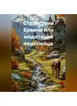Андрей Ларин - Странствия Бревна или медитация европейца