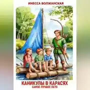 Постер книги Каникулы в Карасях. Самое лучшее лето