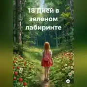 Постер книги 18 Дней в зеленом лабиринте
