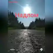 Постер книги Надлом