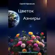 Постер книги Цветок Аэниры