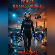 Постер книги Точка катастрофы
