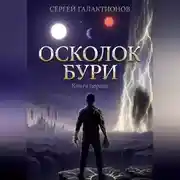 Постер книги Осколок бури