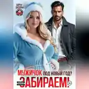 Постер книги Мужичок под новый год? Забираем!