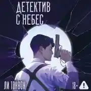 Постер книги Детектив с небес