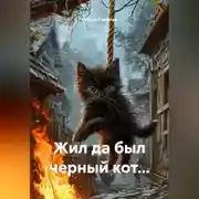 Постер книги Жил да был черный кот...