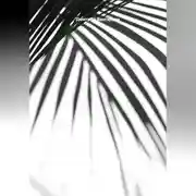 Постер книги Тонель