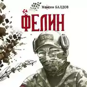 Постер книги Фелин