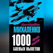 Постер книги 1000 боевых вылетов. «Ночной ведьмак»