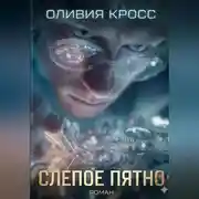 Постер книги Слепое пятно
