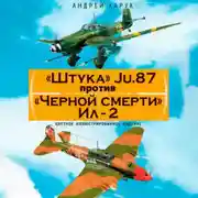 Постер книги «Штука» Ju.87 против «Черной смерти» Ил-2