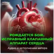 Постер книги Исправный клапанный аппарат сердца