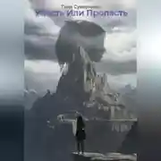 Постер книги Упасть или Пропасть