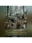 Дамир Янсуфин - Тени Гнилых Топей. Клятва чёрного хана