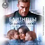 Постер книги Близнецы от бывшего мужа. Душа на разрыв