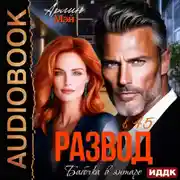 Постер книги Бабочка в янтаре. Развод в 45