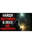 Автор Неизвестен - Найдя где-то в лесу лестницу, ведущую в никуда, не поднимайтесь
