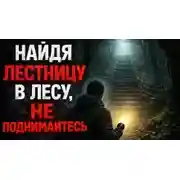Постер книги Найдя где-то в лесу лестницу, ведущую в никуда, не поднимайтесь
