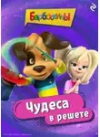 Анастасия Фролова - Барбоскины. Чудеса в решете