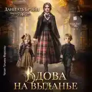 Постер книги Вдова на выданье