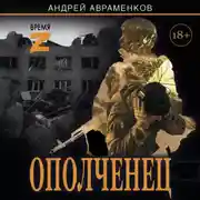 Постер книги Ополченец