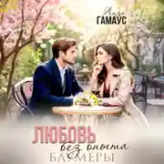 Постер книги Любовь без опыта. Блумеры
