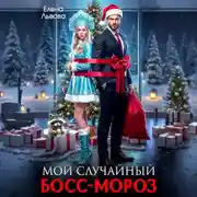 Постер книги Мой случайный Босс-Мороз