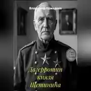 Постер книги Дагерротип князя Щетинина