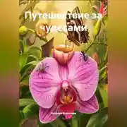 Постер книги Путешествие за чудесами