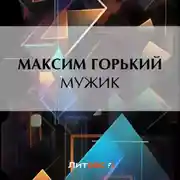 Постер книги Мужик