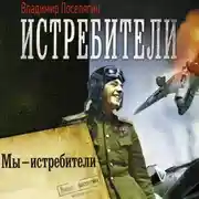 Постер книги Мы – истребители