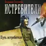 Постер книги Путь истребителя