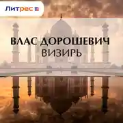 Постер книги Визирь