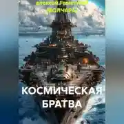 Постер книги КОСМИЧЕСКАЯ БРАТВА
