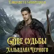 Постер книги Две судьбы Хальвдана Черного