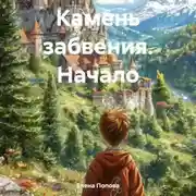 Постер книги Камень забвения. Начало